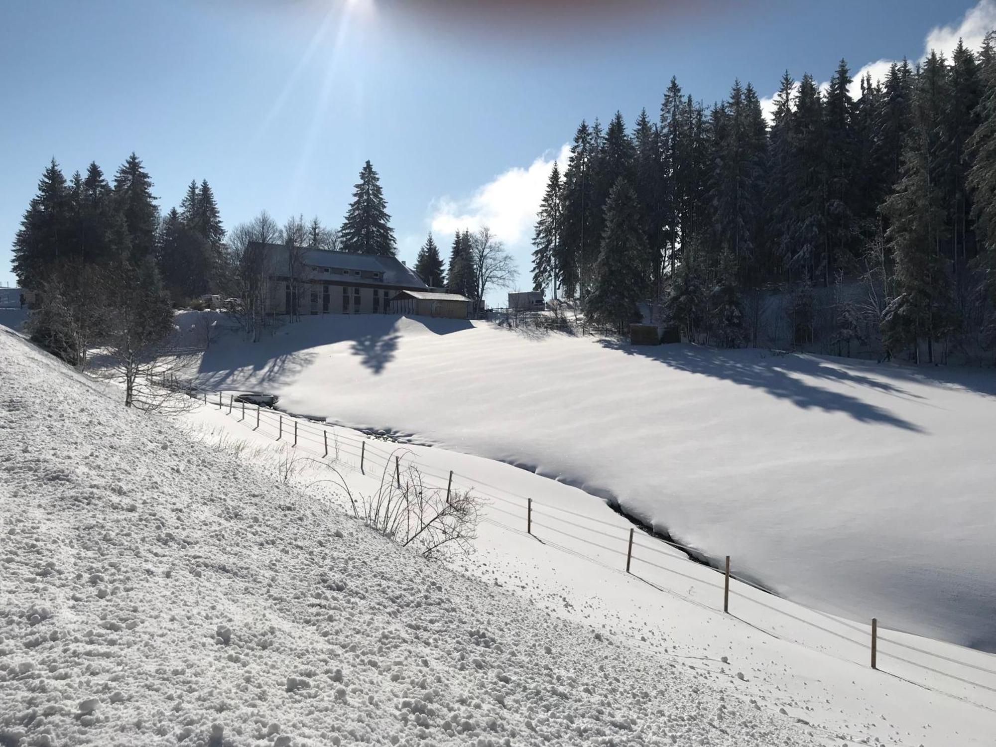Waldhotel Auerhahn "Hochkopfhaus" Todtnau Exterior foto