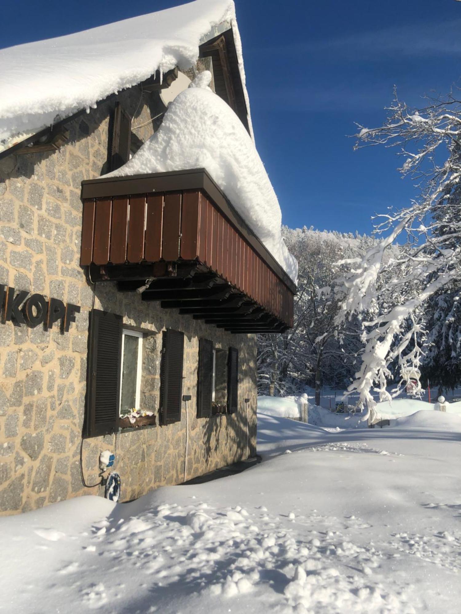 Waldhotel Auerhahn "Hochkopfhaus" Todtnau Exterior foto